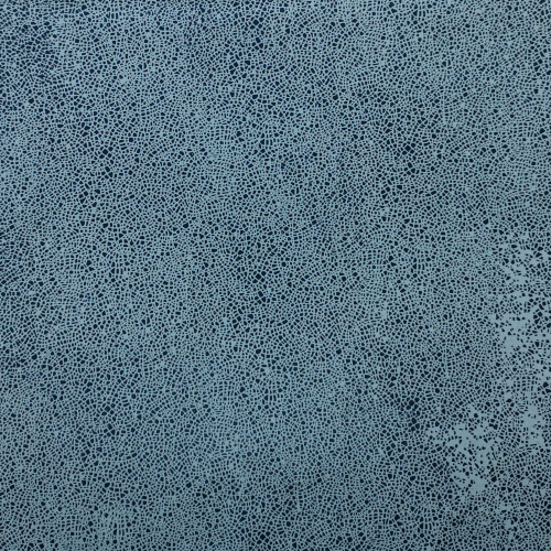 1650_M-51_(2)