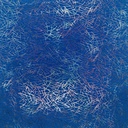 F-021-006_2070
