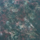 F-021-006_2560