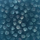 F-021-331_2350