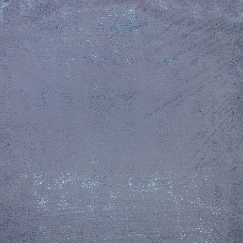F-131-005_2520_(2)