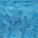 2010_S-61