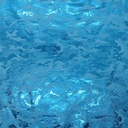 2040_S-61