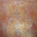 2120_F-104-010