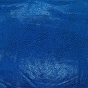 2120_F-125-001