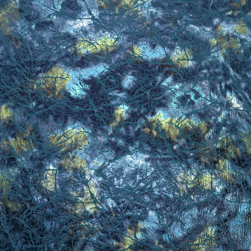 2320_F-031-099