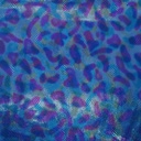 2440_F-257-001