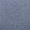 2530_F-129-014