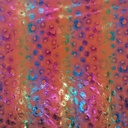 2580_F-028-012