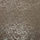 2580_M-11