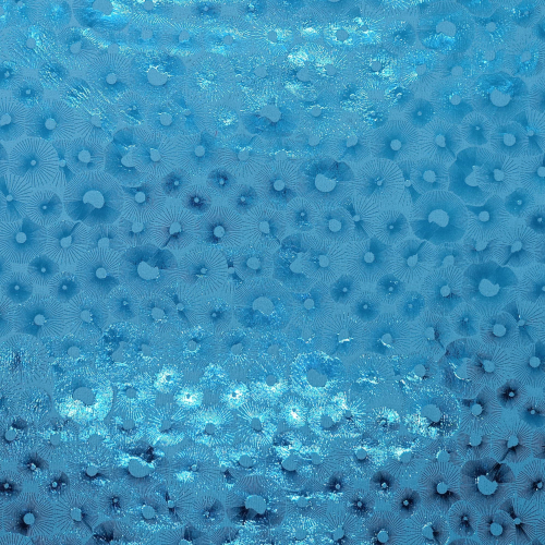 2580_S-61