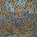 4040_MC-013D