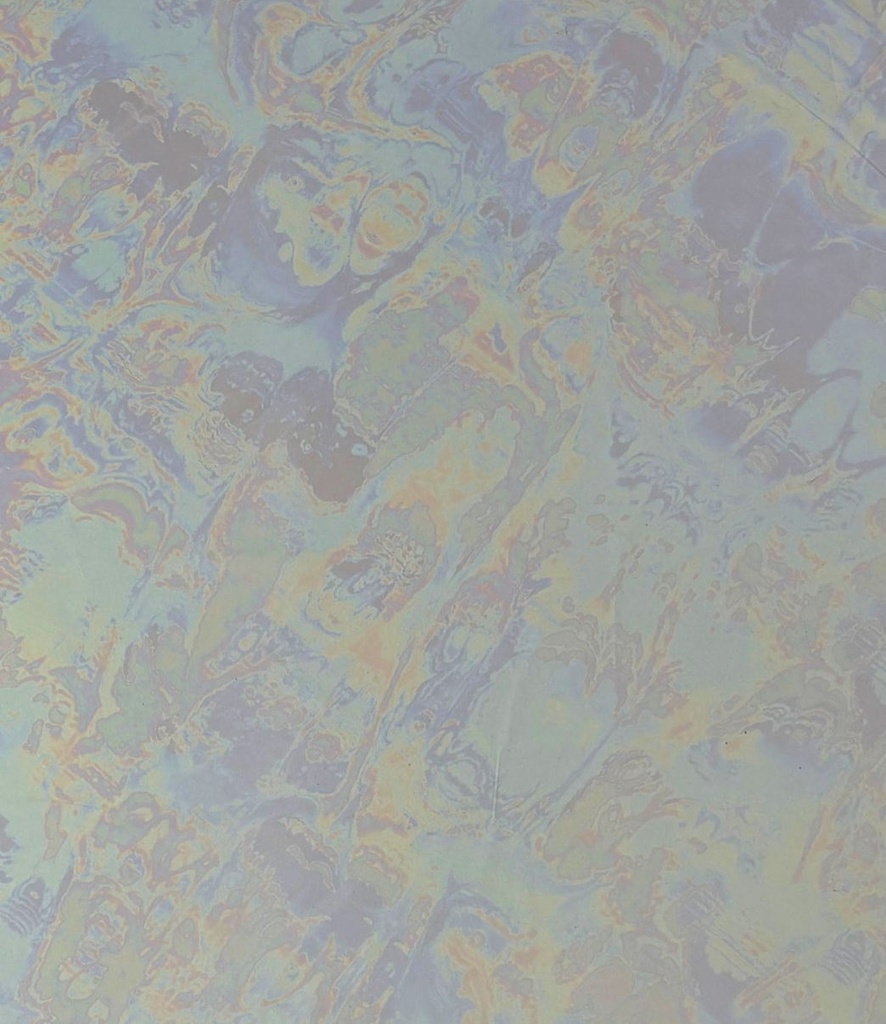 USF-24