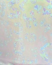 USF-38