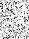 2850