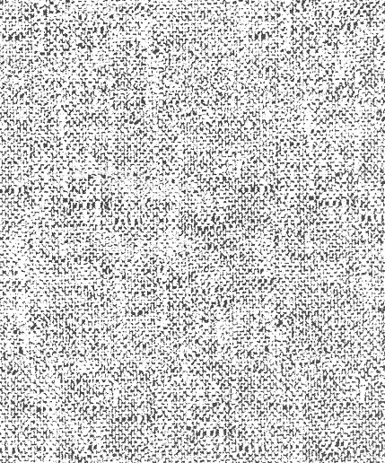 4050