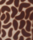 F-005-007