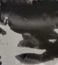 F-018-005