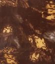 F-115-005