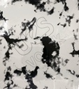 MC-011A