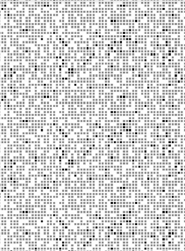 4040